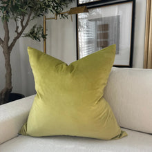 Load image into Gallery viewer, Wasabi Velvet Pillow
