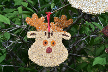 Load image into Gallery viewer, Bird Seed Christmas Cookies
