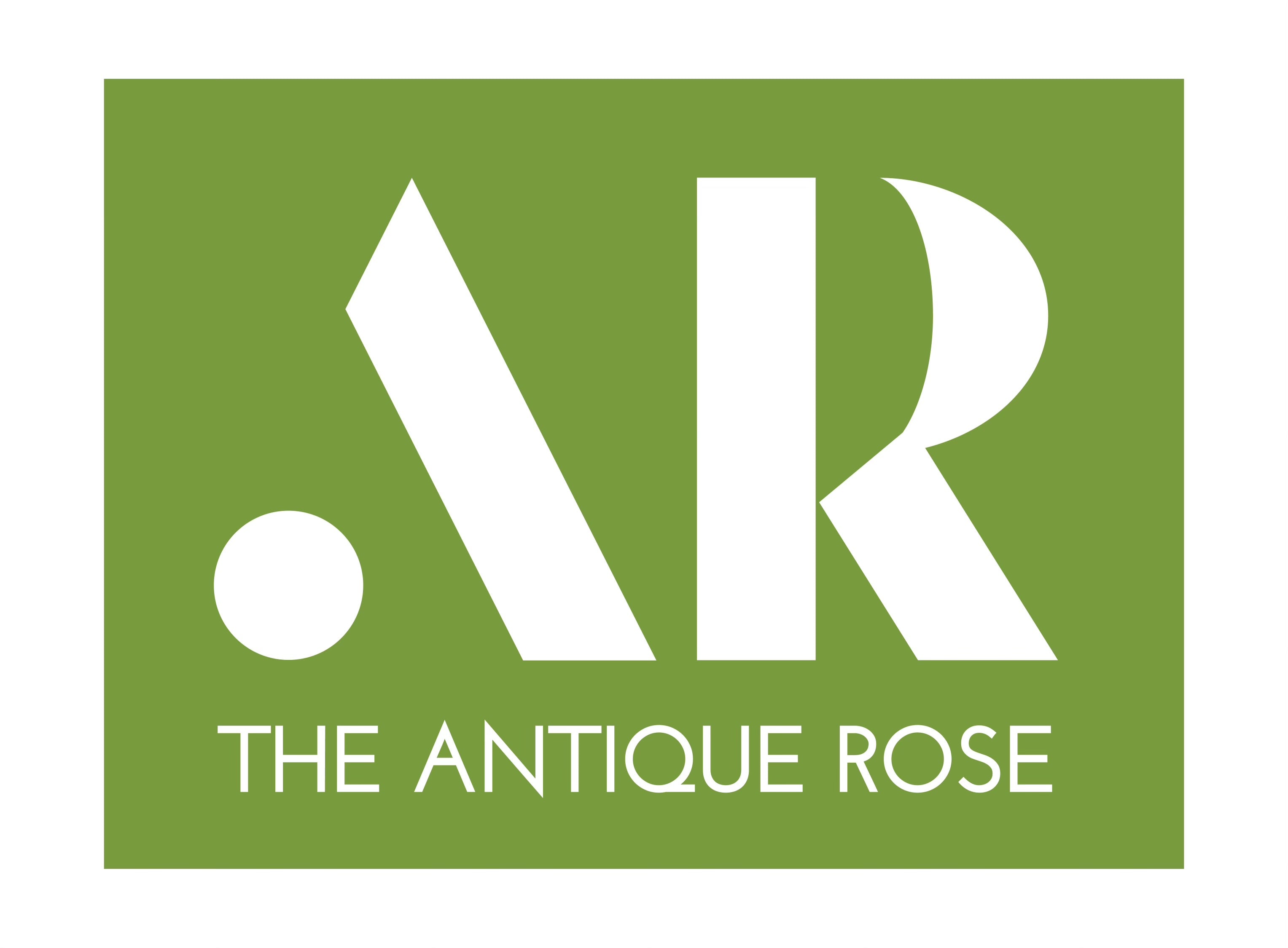 The Antique Rose logo