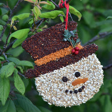 Load image into Gallery viewer, Bird Seed Christmas Cookies

