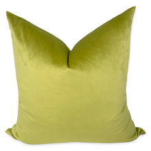 Load image into Gallery viewer, Wasabi Velvet Pillow
